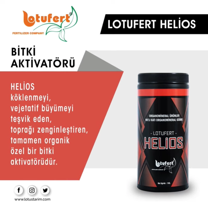 Lotufert Helios