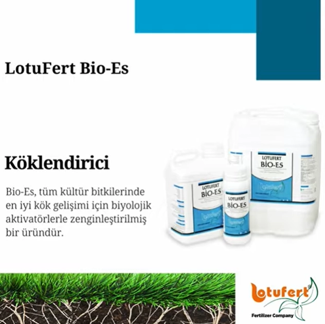 Lotufert Bio-Es