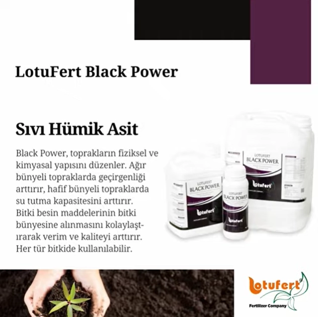 Lotufert Black Power