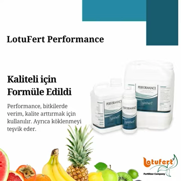 Lotufert Performance