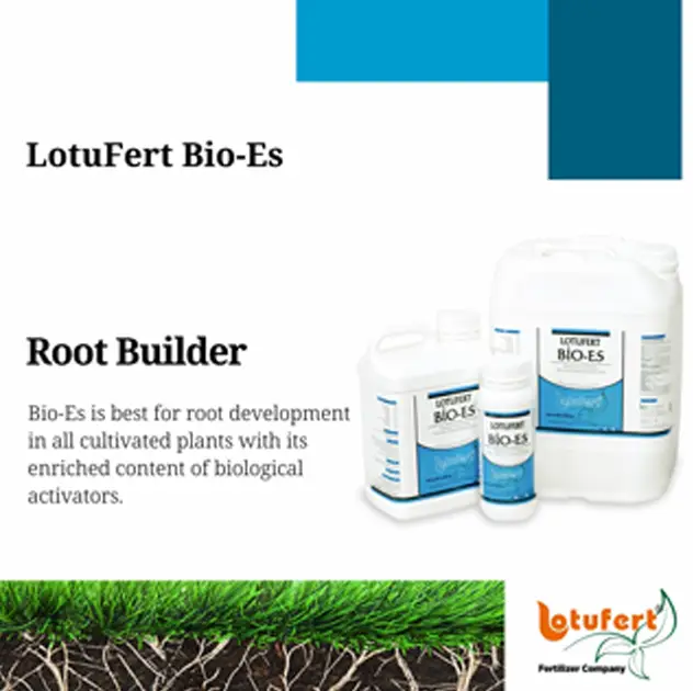 Lotufert Bio-Es