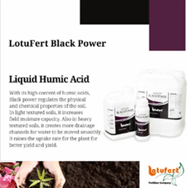 Lotufert Black Power