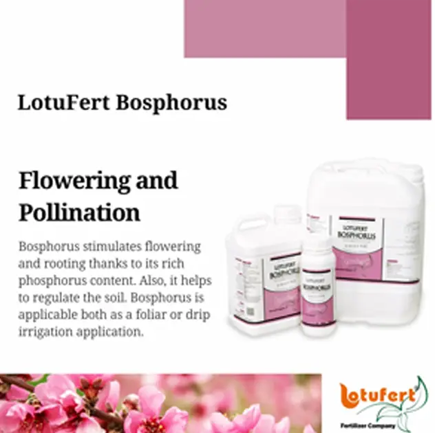 LotuFert Bosphorus