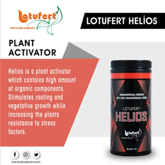 Lotufert Helios