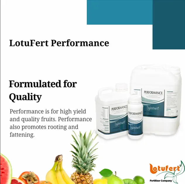 Lotufert Performance